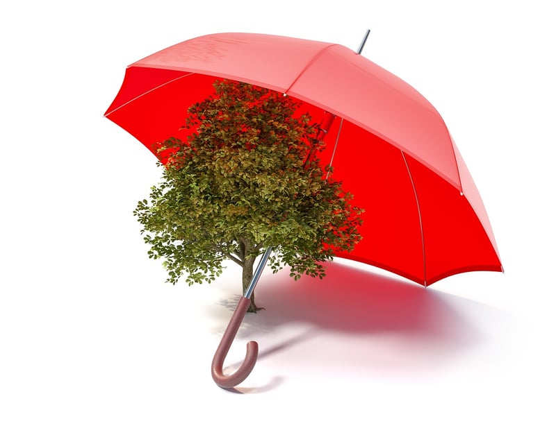 Eco-Friendly Ideas